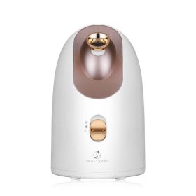 Hot and cold face steamer